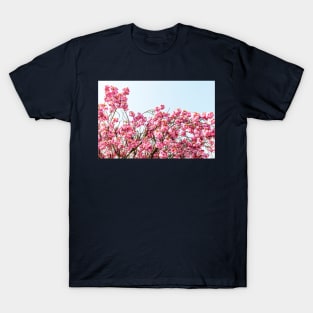 Pink Cherry Blossom Flowers T-Shirt